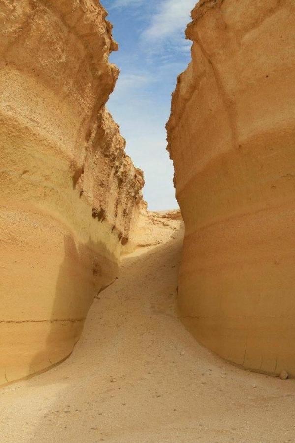 Siwa Paradise Siwa Oasis ภายนอก รูปภาพ